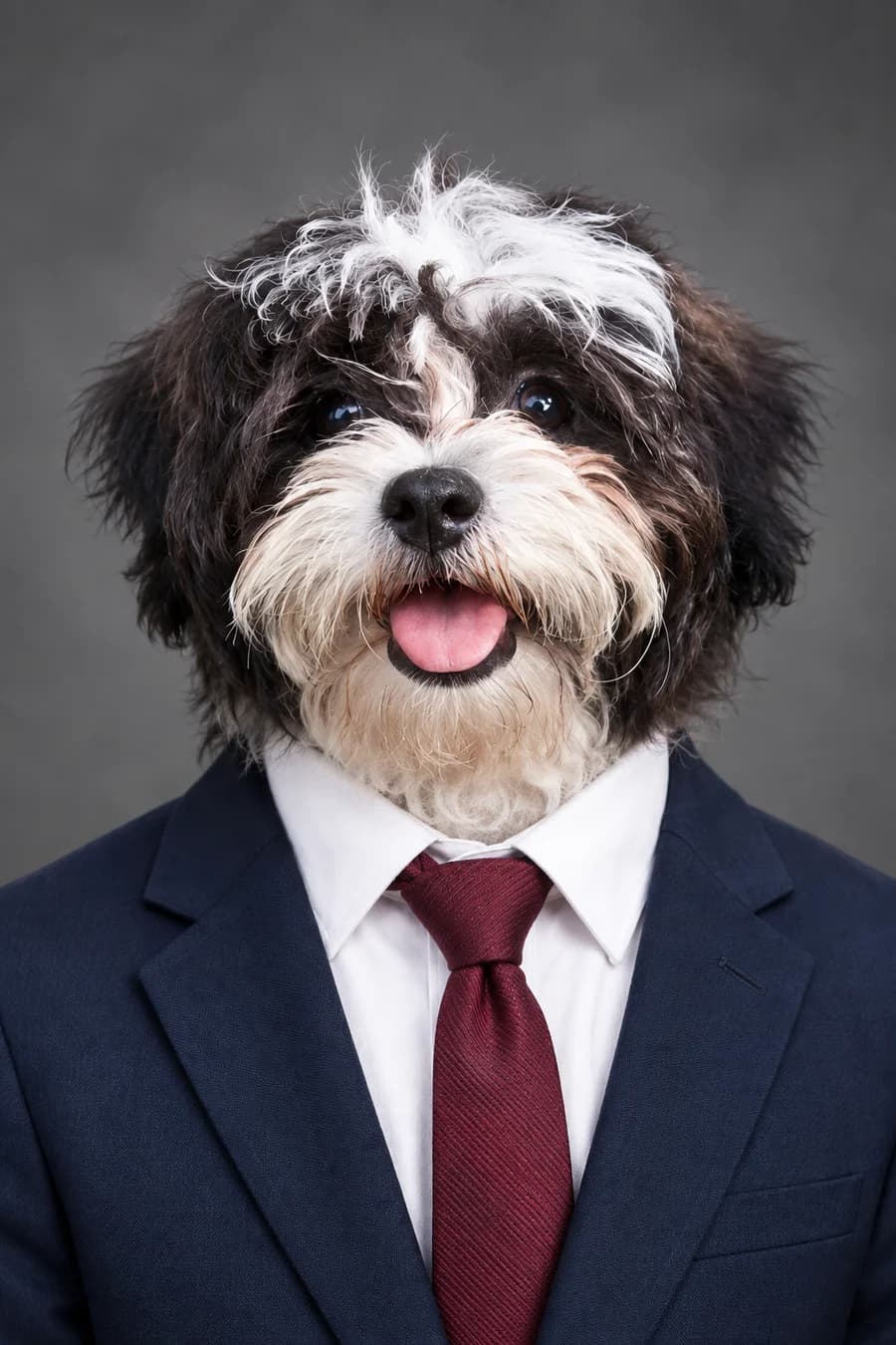 Corporate Headshot portrait style example