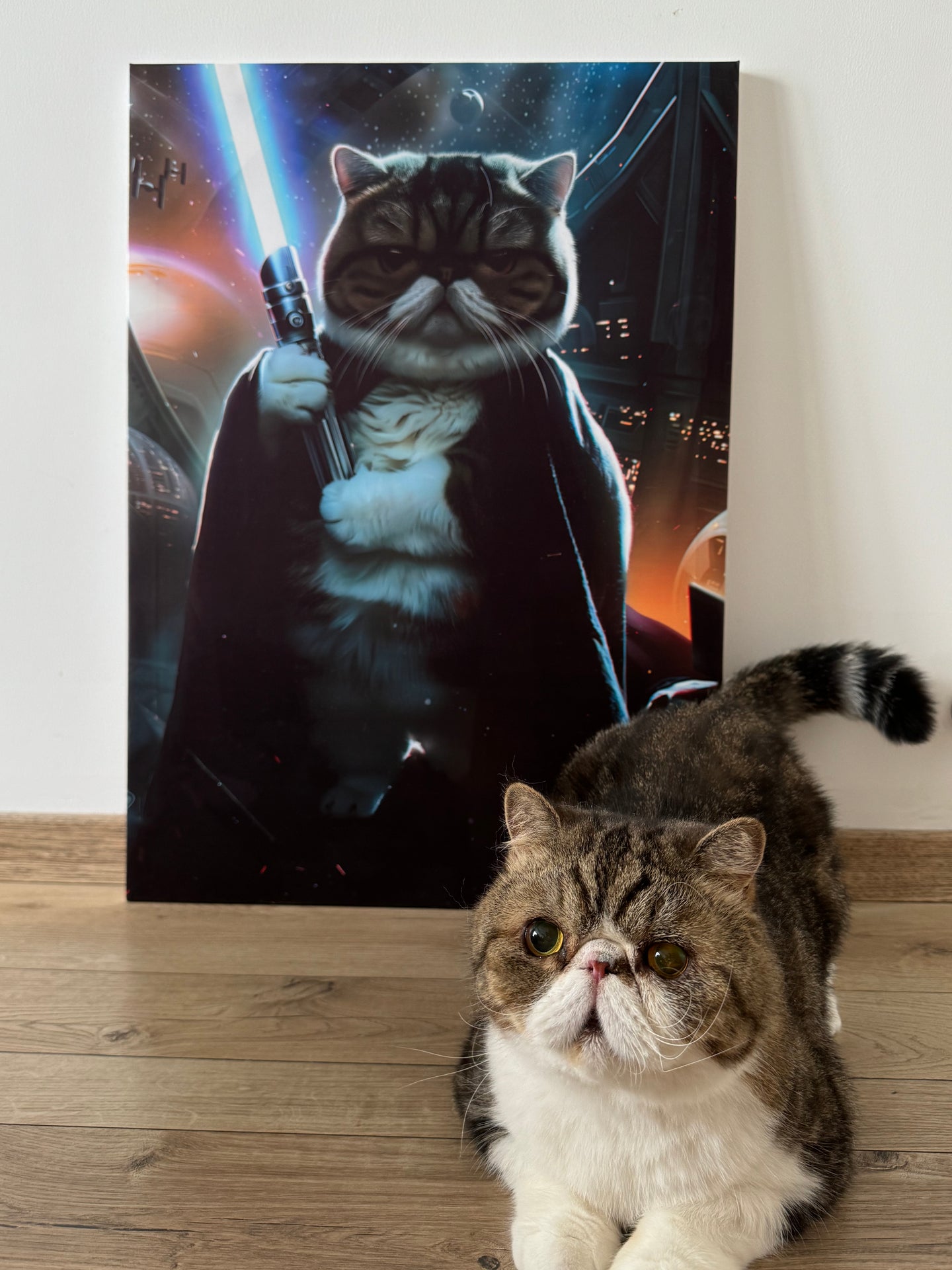 role-play-fantasy-cartoon-product-pet-portrait-canvas-customize-starwarcat-starwar-starwargift-starwarpicture