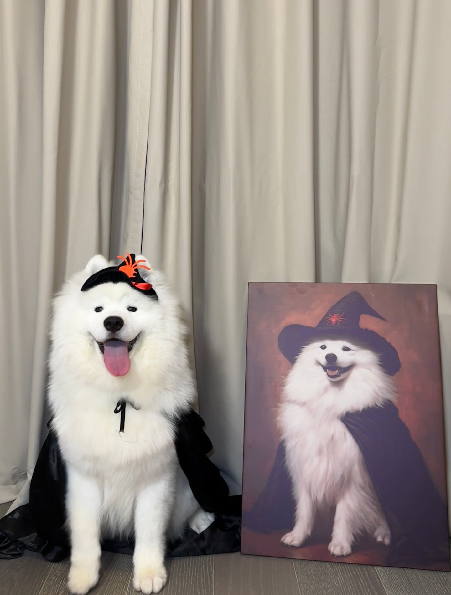 Custom Pet Portrait With Free Halloween Wizard Hat and Cloak | Custom Pet Canvas| Halloween Pet Gift | Halloween Pet Costume