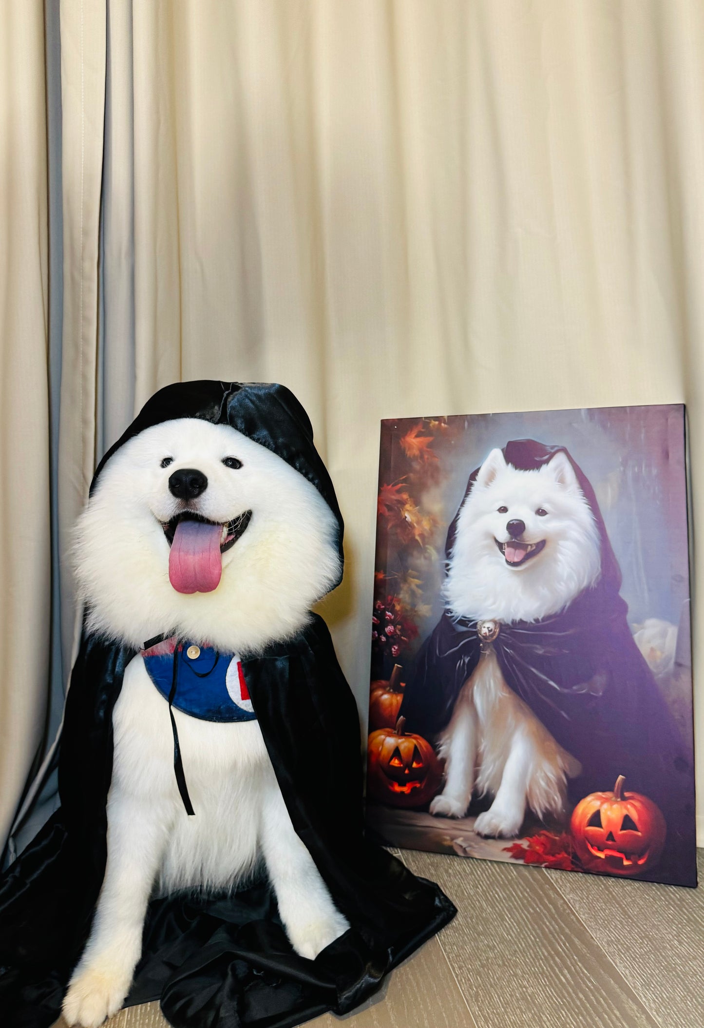 Custom Pet Portrait With Free Halloween Reaper Cloak | Custom Pet Canvas| Halloween Pet Gift | Halloween Pet Costume